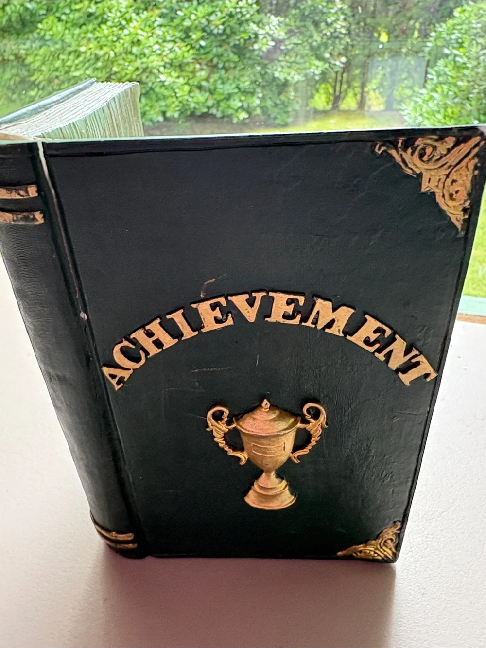 Picture frame decoration with open book and awards